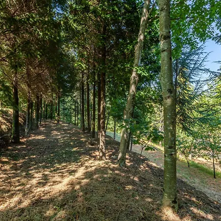 Prendal Eco Living - Minho's Guest 귀마레스