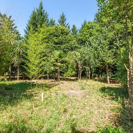 Prendal Eco Living - Minho's Guest 귀마레스