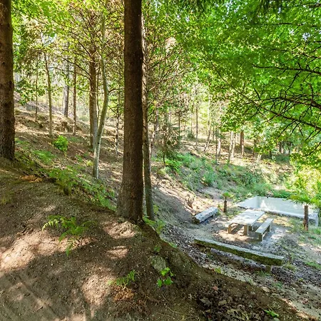 Tatil Evi Prendal Eco Living - Minho's Guest *