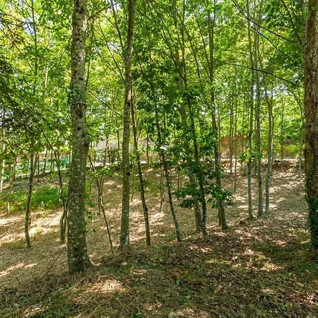 Prendal Eco Living - Minho's Guest