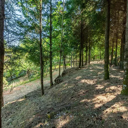 Holiday home Prendal Eco Living - Minho's Guest Guimaraes