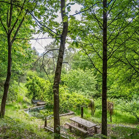 Prendal Eco Living - Minho's Guest Holiday home Guimaraes