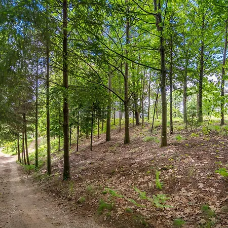 Prendal Eco Living - Minho's Guest *