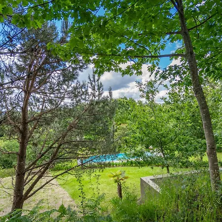 Holiday home Prendal Eco Living - Minho's Guest Guimaraes