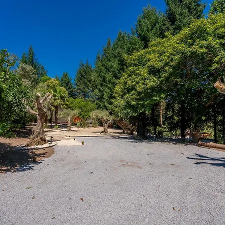 Hébergement de vacances Prendal Eco Living - Minho's Guest *