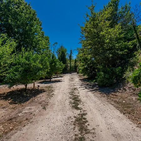 Prendal Eco Living - Minho's Guest *