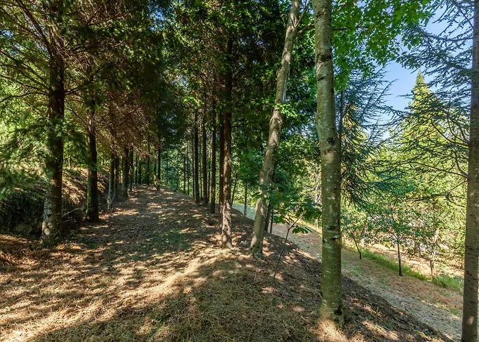 Prendal Eco Living - Minho's Guest Guimarães