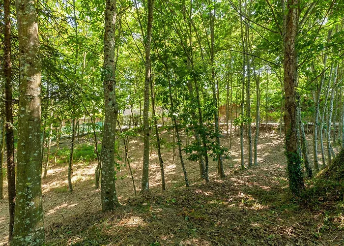 Prendal Eco Living - Minho's Guest