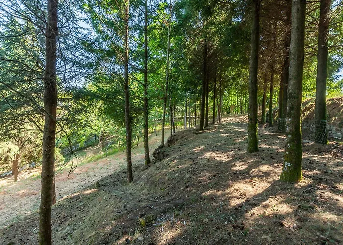 بيت للعطل Prendal Eco Living - Minho's Guest غيمارايش