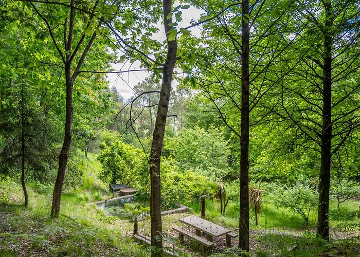 Prendal Eco Living - Minho's Guest بيت للعطل غيمارايش