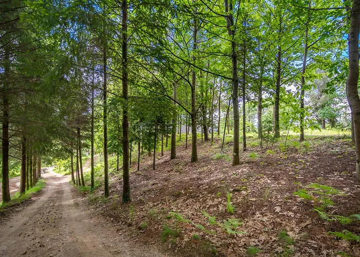 Prendal Eco Living - Minho's Guest *